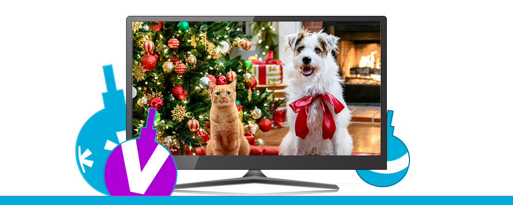 TV with yule dogs free on demand programming