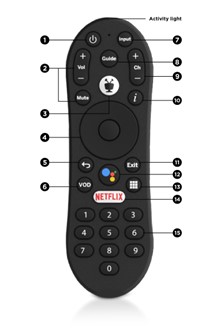 remote